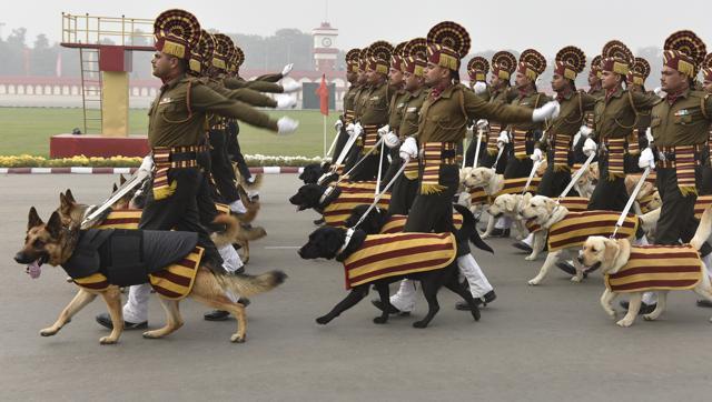 what happens to military dogs after retirement