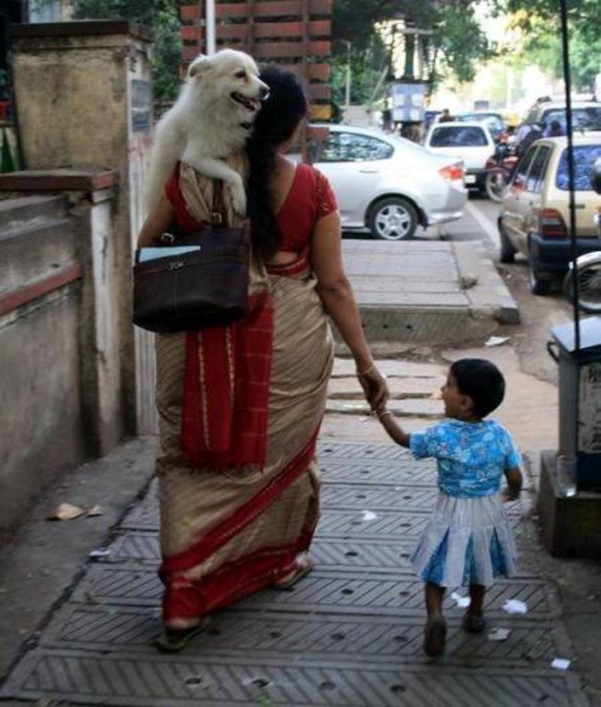 32 Hilarious Pics Of Incredible India That Would Make You Say - Wahh BC !!  - DotComStories