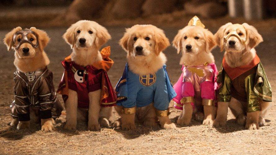 dog movies on netflix india,family dog movies on netflix,dog movies on netflix 2020,dog movies on netflix 2019,dog movies,netflix movie the dog,dog movie,movies about dogs,dog movies on netflix,dogs in movies,dogs movies,movies with dogs,netflix movie dogs,cutest dog movies