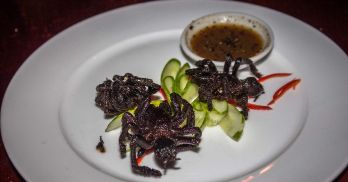 food,weird food,weird animals to eat,weird dishes,bizarre food,bizarre dishes,things people eat,dishes around the world,must try dishes,must try cuisines,weird cuisines,delicacy food,exotic dishes,exotic food