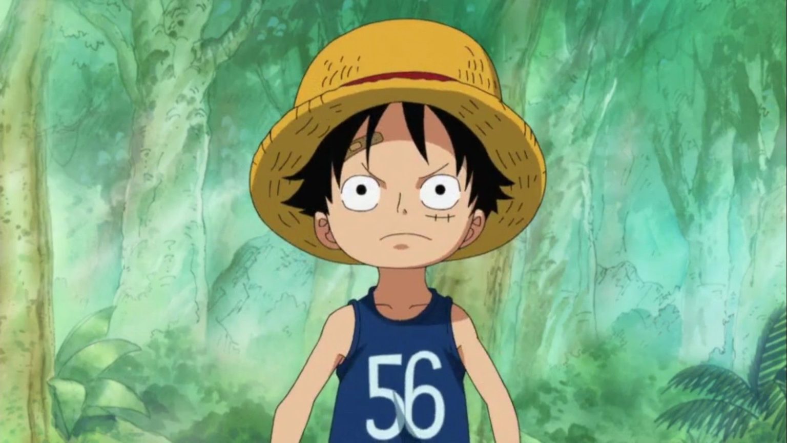 How Old Is Luffy In One Piece? Monkey D. Luffy's Age When He Began His ...
