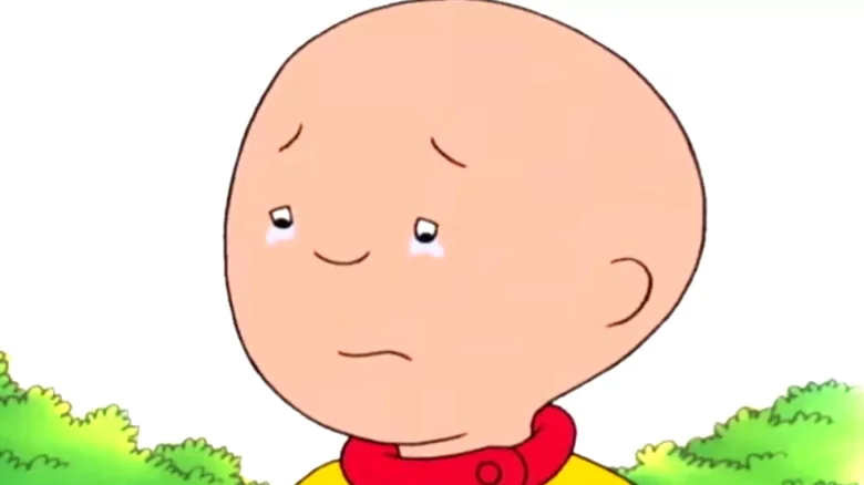 Why Caillou Is Bald? Caillou's Baldness Reason Explained! - DotComStories