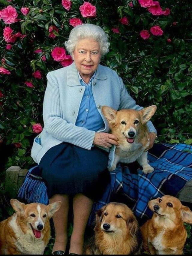 How The Queen And Her Corgis Defined An Eternal Bond of Companionship