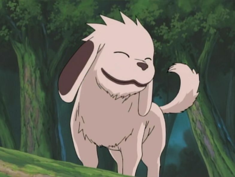 6 Best Anime Dogs  The List  Anime News Network
