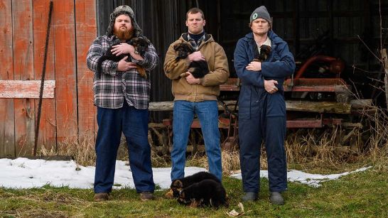 how to watch letterkenny without hulu,where to watch letterkenny season 10,watch letterkenny online free dailymotion,watch letterkenny online free reddit,is letterkenny on netflix,letterkenny rotten tomatoes,letterkenny trailer,letterkenny youtube,where to watch letterkenny uk,letterkenny amazon prime,watch letterkenny season 11,is letterkenny on netflix or hulu,where to watch letterkenny season 11,what is letterkenny on hulu,is letterkenny still on hulu