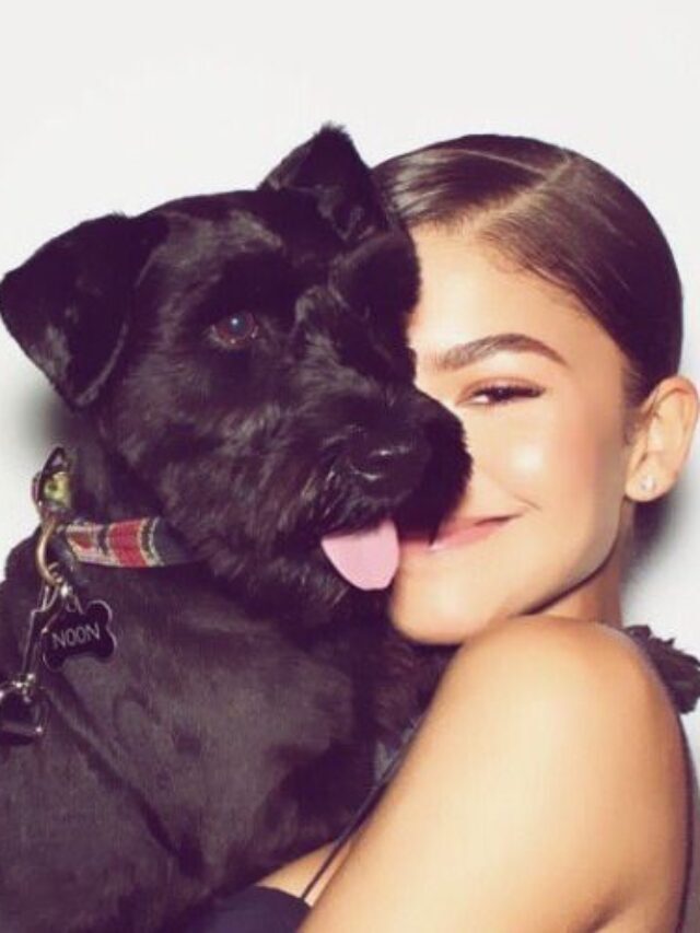 10 Adorable Pets Of Celebrities We Can’t Get Over