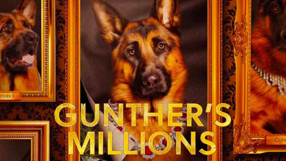 watch gunthers millions episodes online free,watch gunthers millions episodes online,watch gunthers millions episodes free