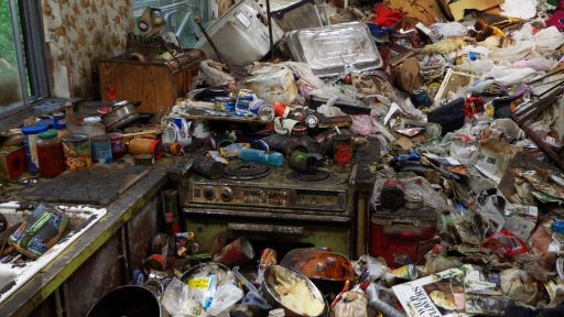 shows like hoarders on netflix,shows about hoarding,hoarding shows on netflix,hoarding buried alive,hoarder homes no room to move,hoarder sos,hoarders spin off,best reality tv shows,hoarding: buried alive,hoarder homes: no room to move,tv shows like hoarders,other shows like hoarders,reality tv shows like hoarders