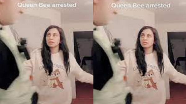 queen bee arrested meaning,queen bee arrested videos,queen bees are,queen bees are sterile females,queen bee and drone,queen bee and queen ant