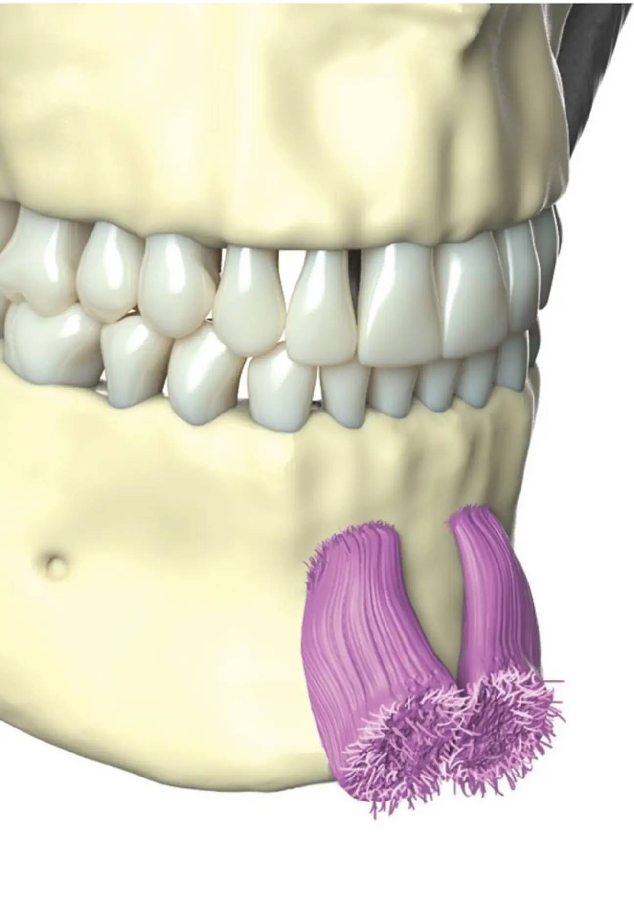 how to get rid of chin dimples upset people,chin dimples upset people meaning,chin dimples upset people reddit,chin dimples upset people