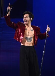 Harry Styles halts Cardiff show for pregnant fan to use the washroom