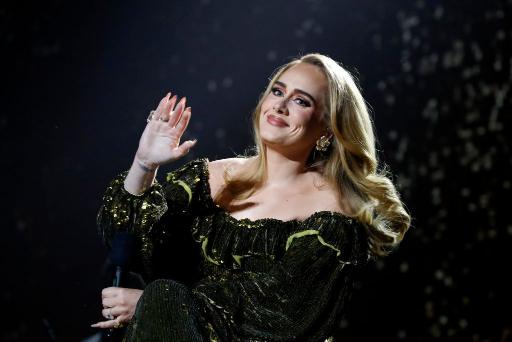 singers attacked on stage,adele warns against attacks on singers in india,adele warns against attacks on singers in hindi,adele warns against attacks on singers in bollywood,adele warns against attacks on singers