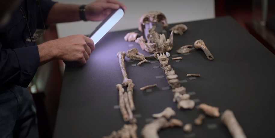 homo naledi discovery,how old is homo naledi,where did homo naledi live,homo naledi dna,what did homo naledi eat,why did homo naledi go extinct,did homo naledi use tools,homo naledi height,did homo naledi really exist