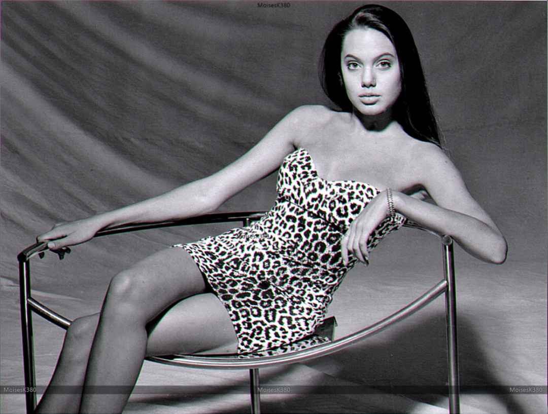 Angelina Jolie biography,Angelina Jolie movies,Angelina Jolie husband,Angelina Jolie children,Angelina Jolie family,Angelina Jolie net worth,Angelina Jolie Oscars,Angelina Jolie humanitarian work,Angelina Jolie activism,Angelina Jolie filmography,Angelina Jolie awards
